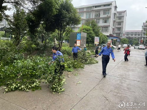 剪除隱患送清涼，修出社區(qū)新風貌——婁底市城管執(zhí)法支隊住建大隊黨支部主題黨日側記